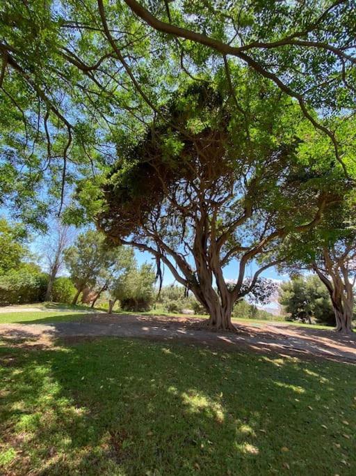 Apt Moderno Con Vistas, Recepcion 24 Hs Y Piscinas Benalmadena Exterior photo
